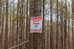 Lightning Ridge Tract 85