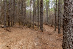 Lightning Ridge Tract 85