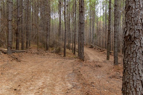 Lightning Ridge Tract 85