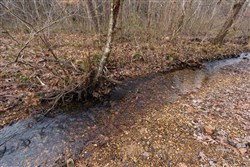 Lightning Ridge Tract 85