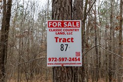 Lightning Ridge Tract 87