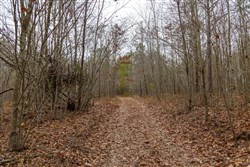 Lightning Ridge Tract 87