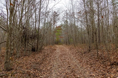 Lightning Ridge Tract 87