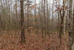 Lightning Ridge Tract 87