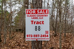 Lightning Ridge Tract 88