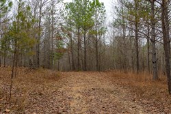 Lightning Ridge Tract 88