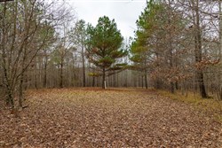 Lightning Ridge Tract 88