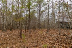 Lightning Ridge Tract 88