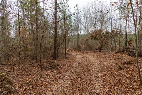 Lightning Ridge Tract 89