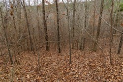 Lightning Ridge Tract 89