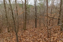 Lightning Ridge Tract 89