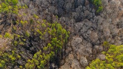 Lightning Ridge Tract 90