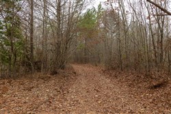 Lightning Ridge Tract 90