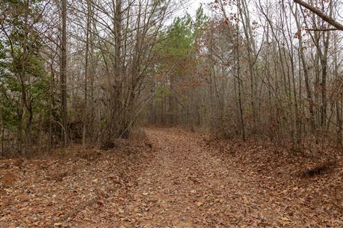 Lightning Ridge Tract 90