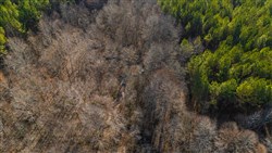 Lightning Ridge Tract 91