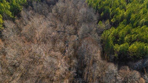 Lightning Ridge Tract 91