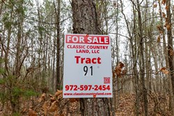 Lightning Ridge Tract 91