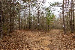 Lightning Ridge Tract 91