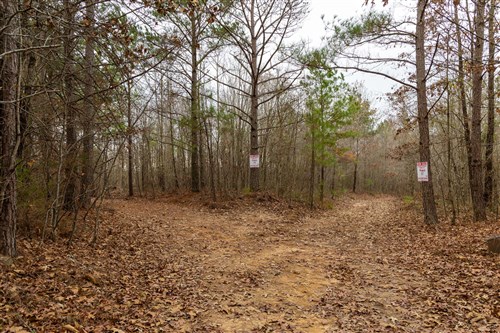 Lightning Ridge Tract 91