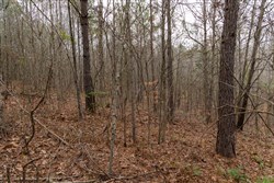 Lightning Ridge Tract 91