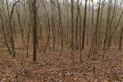 Lightning Ridge Tract 91