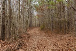 Lightning Ridge Tract 91