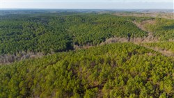 Lightning Ridge Tract 92