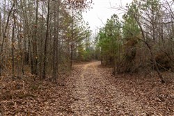 Lightning Ridge Tract 92