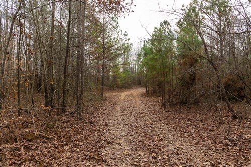 Lightning Ridge Tract 92