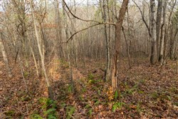 Lightning Ridge Tract 92