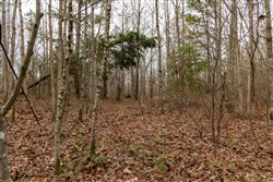 Lightning Ridge Tract 92