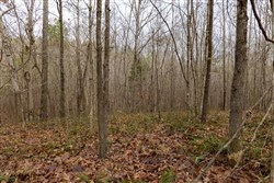 Lightning Ridge Tract 92