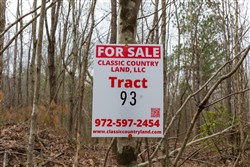 Lightning Ridge Tract 93