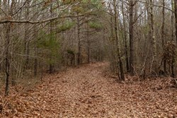 Lightning Ridge Tract 93