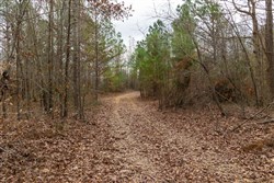 Lightning Ridge Tract 93