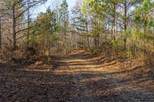 Lightning Ridge Tract 94