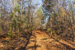 Lightning Ridge Tract 94