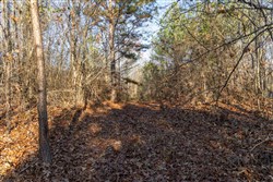 Lightning Ridge Tract 94