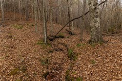 Lightning Ridge Tract 95