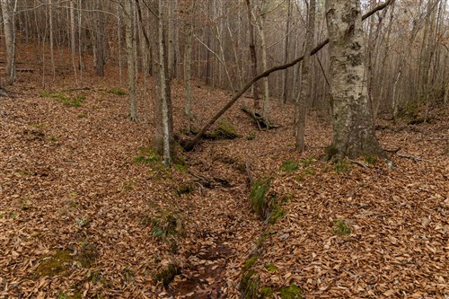 Lightning Ridge Tract 95