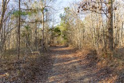 Lightning Ridge Tract 95