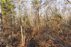 Lightning Ridge Tract 95