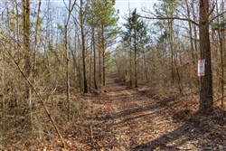 Lightning Ridge Tract 96