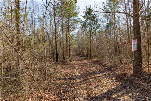 Lightning Ridge Tract 96