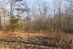 Lightning Ridge Tract 96