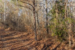 Lightning Ridge Tract 96