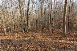 Lightning Ridge Tract 96