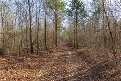 Lightning Ridge Tract 97