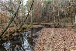 Lightning Ridge Tract 97