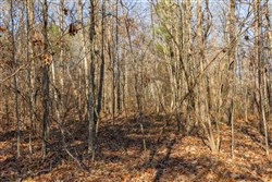 Lightning Ridge Tract 97